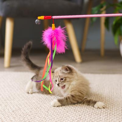 Игрушка для кошек Дразнилка Перо Алисия с лентой – фото 2