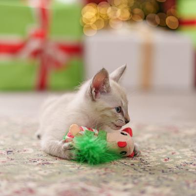 Игрушка для кошек Мышка из новогодней коллекции, 22х5,5х5 см – фото 3