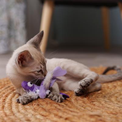 Игрушка для кошек Рыбки, 14х8х3 см – фото 3