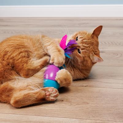 Игрушка для кошек Яйцо неваляшка – фото 5