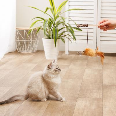 Игрушка-дразнилка для кошек Мышка, 9х4,3х4,5 см, длина палки 30 см – фото 2