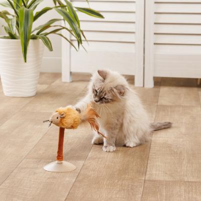 Игрушка-дразнилка на присоске для кошек Мышка, 15х8х8 см – фото 2