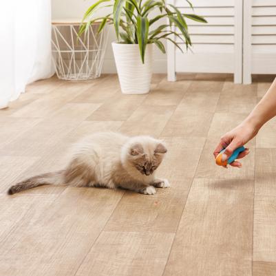 Игрушка-лазерная указка для кошек Рыбка, 8,7х2,8х3,7 см – фото 6