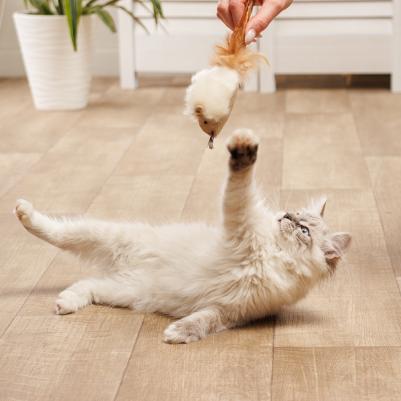 Игрушка с пищалкой для кошек Мышка, 9х4,3х5 см – фото 1