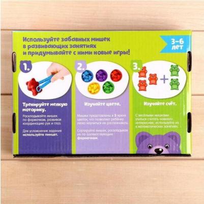 Развивающий набор "Сортер мишки" 6900049595892 – фото 4