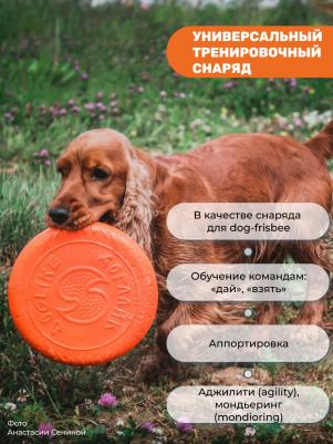 Апорт для собак Летающая тарелка малая, оранжевый, 18 см – фото 9