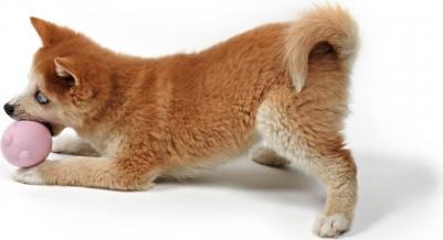 PETIT Игрушка-неваляшка для собак "Balu" с погремушкой, желтая – фото 4