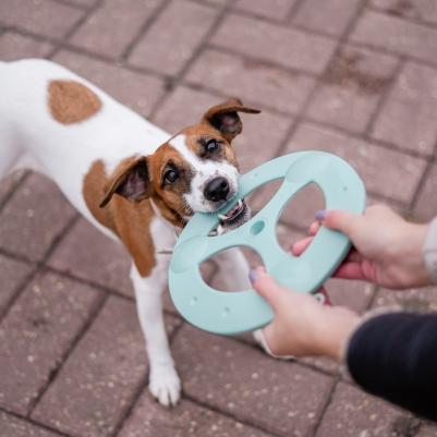 Игрушка для собак Летающий диск, диаметр 23 см, мятный – фото 2