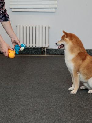 Игрушка для собак обезьянка со сладким ароматом ванили, латексная, для мелких и средних пород – фото 7