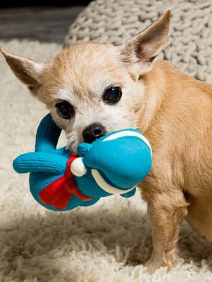 Игрушка для собак обезьянка со сладким ароматом ванили, латексная, для мелких и средних пород – фото 14