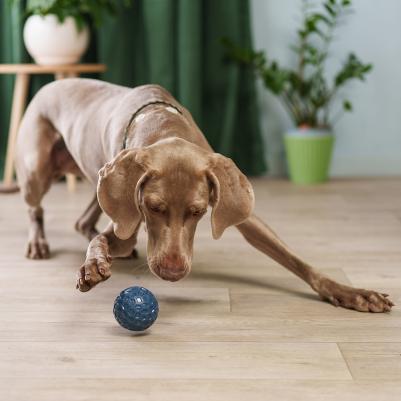 Игрушка для собак Мяч 7,5 см – фото 3