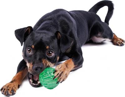 Игрушка для собак Мяч светящийся, 5,5 см, зеленый – фото 3