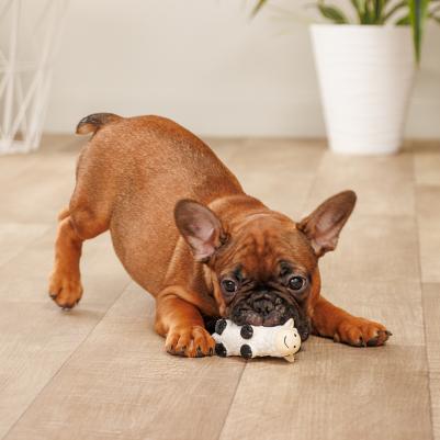 Игрушка из латекса для собак Корова с веревочным хвостом, 10х4х5 см – фото 3