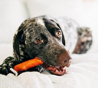 игрушка для собак Mesquite Dogwood с ароматом барбекю 13 см очень маленькая 0700603301428 – фото 8