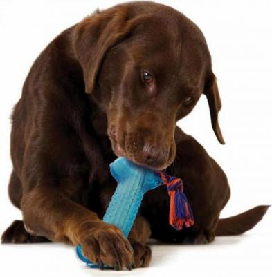 игрушка для собак "ОРКА косточка" большая 23 см – фото 1