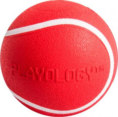 Squeaky Chew Ball жевательный мяч с пищалкой и с ароматом говядины – фото 1