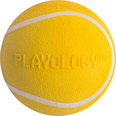 Squeaky Chew Ball жевательный мяч с пищалкой и с ароматом курицы – фото 1