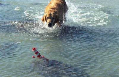 Апорт для собак Lighthouse Маяк из литой резины Красно-белый, 25 см – фото 1