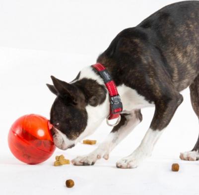 Интерактивная игрушка для собак Tumbler, красный, 12 см – фото 1