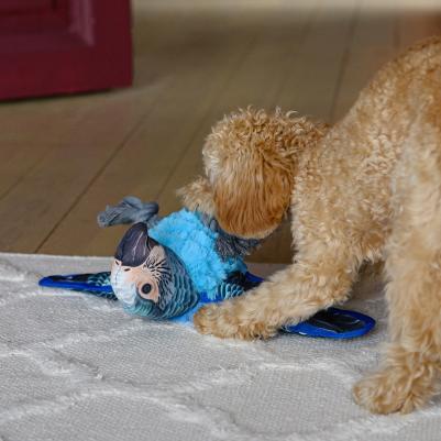 Игрушка для собак Ара – фото 1