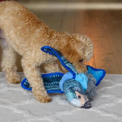 Игрушка для собак Ара – фото 3