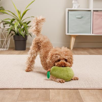 Игрушка для собак Авокадо с мячом, 21х12х10 см – фото 1