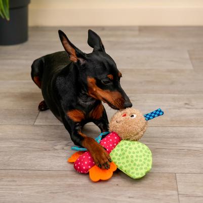 Игрушка для собак Бабочка, 16 см – фото 2