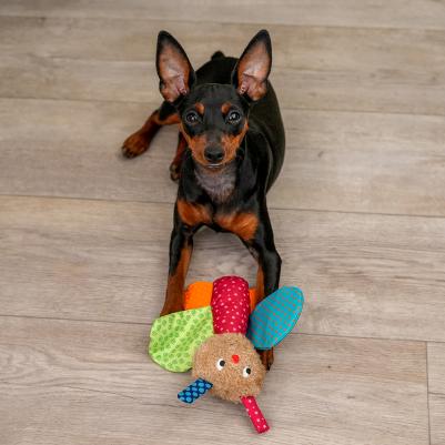 Игрушка для собак Бабочка, 16 см – фото 4