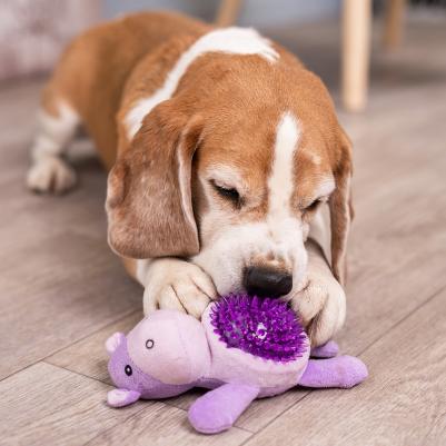 Игрушка для собак Бегемот с мячиком 19 см – фото 2