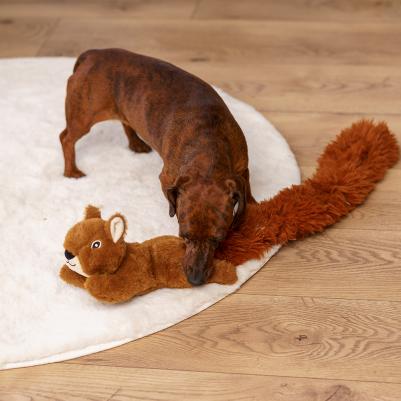 Игрушка для собак Белка – фото 2