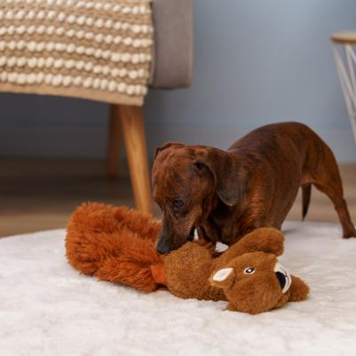 Игрушка для собак Белка – фото 4