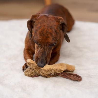 Игрушка для собак Бобренок – фото 2