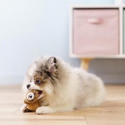 Игрушка для собак Бобренок – фото 3