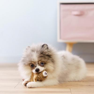 Игрушка для собак Бобренок – фото 4