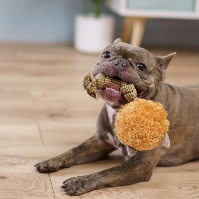 Игрушка для собак Енот 4680368438125 – фото 3