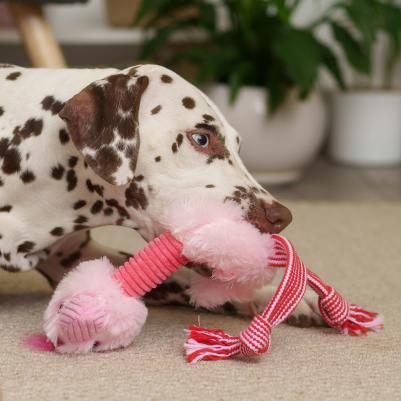 Игрушка для собак Фламинго, 43х18х6 см – фото 2