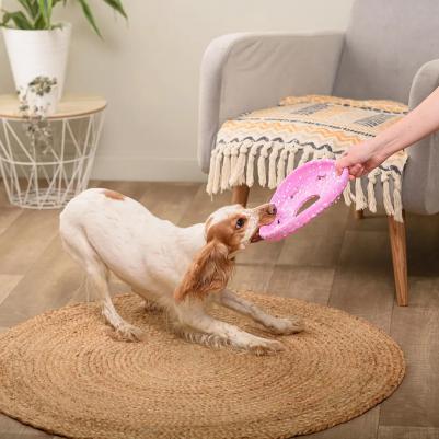 Игрушка для собак Фрисби, 23,5х3 см – фото 4