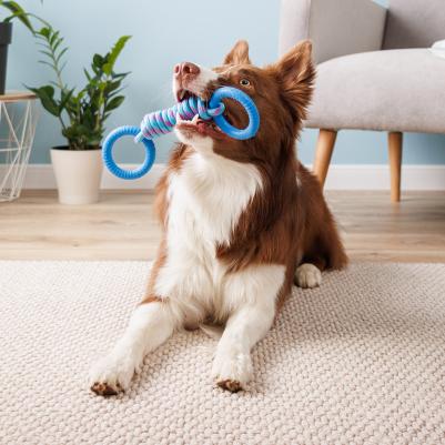 Игрушка для собак Гантель с кольцами, 28х8 см – фото 1