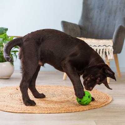 Игрушка для собак Грейпфрут 9,5 см – фото 1