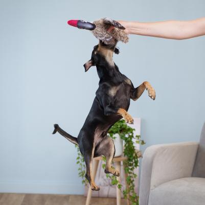 Игрушка для собак Гусь, S – фото 1