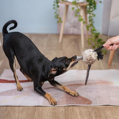 Игрушка для собак Гусь, S – фото 5