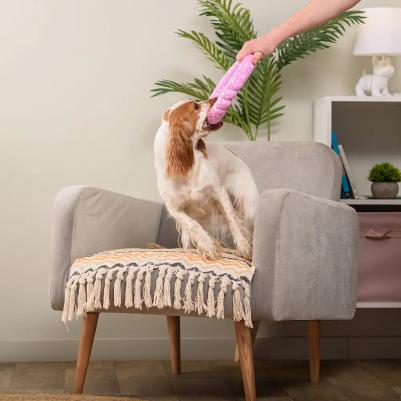 Игрушка для собак Кольцо, 23х4 см – фото 2