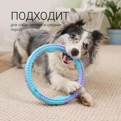 Игрушка для собак Кольцо, 24 см – фото 2