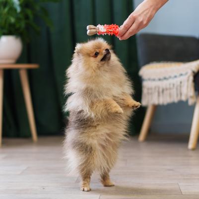 Игрушка для собак Косточка 12 см – фото 3