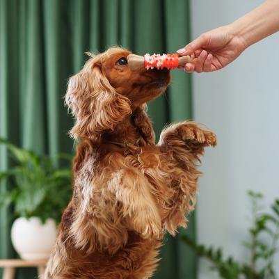 Игрушка для собак Косточка 12 см – фото 5