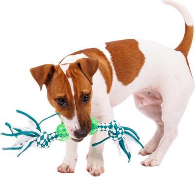 Игрушка для собак Косточка на веревке 26 см – фото 1