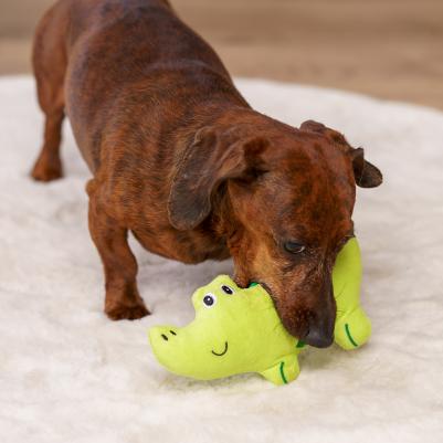 Игрушка для собак Крокодил 4680368437821 – фото 2