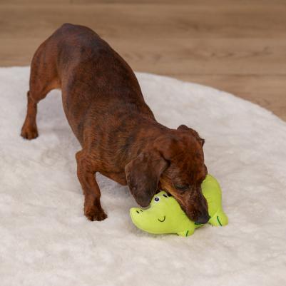 Игрушка для собак Крокодил 4680368437821 – фото 3