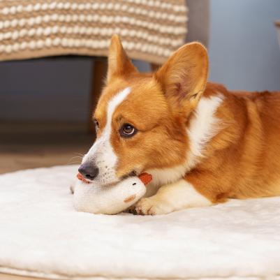 Игрушка для собак Курица – фото 1