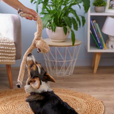 Игрушка для собак Ленивец 4680368437647 – фото 1